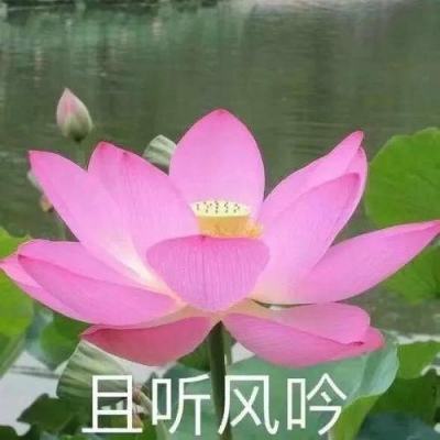 广东省党政代表团到河北省考察